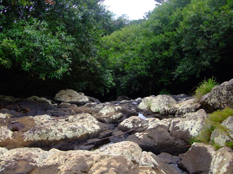 Mauritius 2010 - 0286 